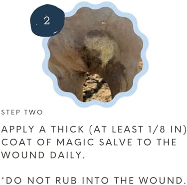 Wound Salve - For Horses, Pets, Livestock & People - Calendula, Shields Abrasions, Stops Infections, Promotes Scabbing, Reduces Inflammation & Scarring, Vet-Approved - Bev's Magic Salve (12 oz)