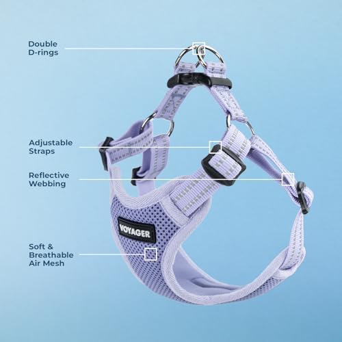 Voyager Step-in Flex Adjustable Dog Harness - Lavender, Small