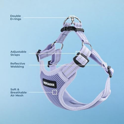 Voyager Step-in Flex Adjustable Dog Harness - Lavender, Small