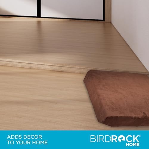 BIRDROCK HOME Memory 3" Memory Dog Bed | Ultra Soft Plush Pet Bed | Pet Mat (22 x 16, Brown)