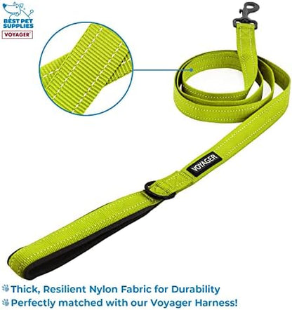 Best Pet Supplies Voyager Step-in Lock Pet Harness w Reflective Pet Leash Combo Set with Neoprene Handle 5ft - Supports Small, Medium and Large Breed Puppies/Cats - Lime Green Set, XXS