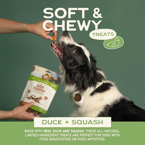 Smart Cookie Healthy Soft Dog Treats - Duck & Squash - Grain Free Limited Ingredient Training Treats for Dogs with Sensitive Stomach & Allergies, Natural Novel Protein, Made in the USA (5oz.)