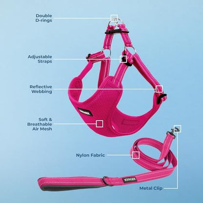 Best Pet Supplies Voyager Adjustable Step-in Flex Breathable Mesh Dog Harness for Small Medium Large Dogs Leash Set (Fuchsia), M