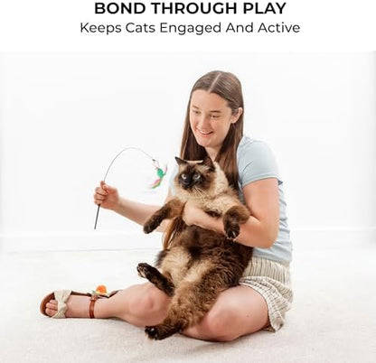 Cat Toys for Indoor Cats, Interactive Cat Toy Wand, Kitten Stuff, 18 Lures