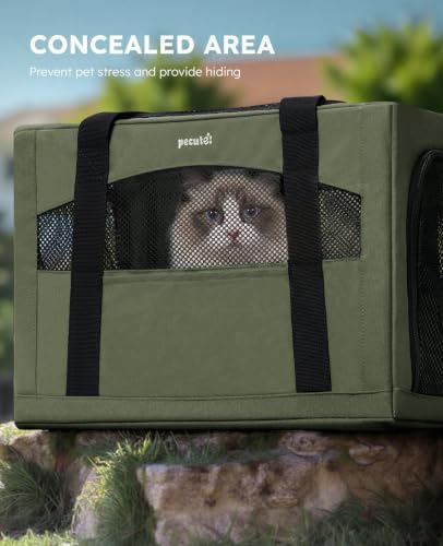 Pecute Cat Carrier Stable, Pet Carrier with Privacy Partition,Green