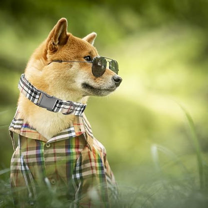 Classic Beige Black Plaid Dog Collar for Medium Dogs