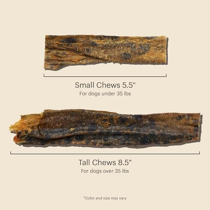 The Honest Kitchen Ocean Chews Wolffish Skins Dog Treats, Human Grade Single Ingredient Dehydrated Fish Dog Chews for Medium and Large Dogs, High Protein Rawhide Alternative for Skin Coat, 6 oz Pouch