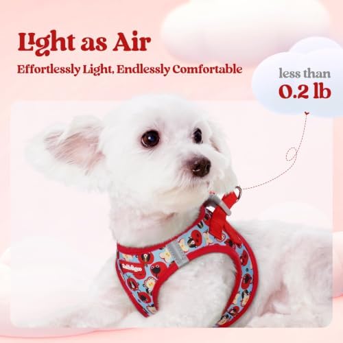 rabbitgoo Dog Harness Small Sized and Leash Set, Step-in Puppy Pet Vest