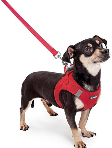 rabbitgoo Dog Harness Small Sized and Leash Set, Step-in Puppy Pet Vest