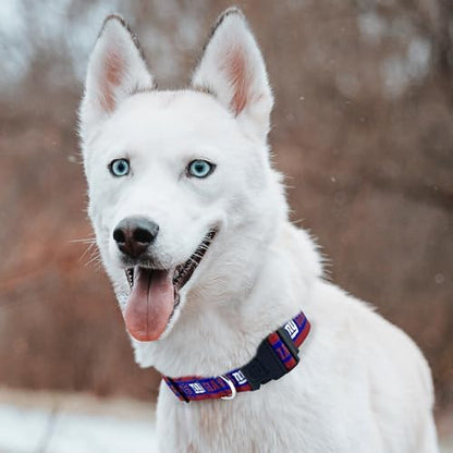 Pets First NFL New York Giants Licensed PET COLLAR, Extra Large - Heavy-Duty, Strong, and Durable Dog Collar. Available in 31 Football Teams and 4 Sizes