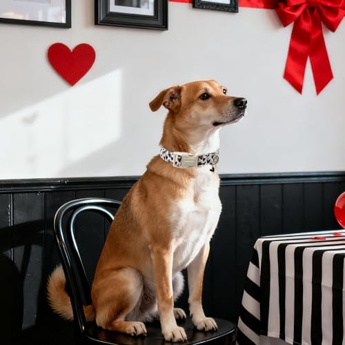 DOGWONG Valentine's Day Dog Collar-Cute Black Heart Dog Collars, Adjustable Valentine Heart Pet Collars Puppy Collar with Quick Release Buckle for Girl&Boy Dogs,XL