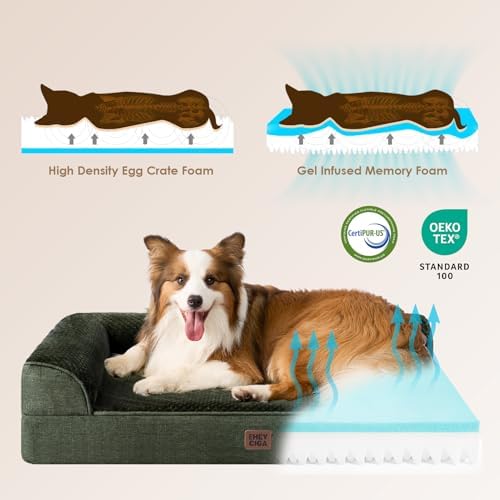 EHEYCIGA Orthopedic Dog Bed Medium Size, Memory Foam Dog Bed, Dark Green