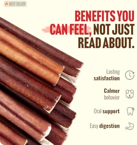 Natural Farm Odor Free Jumbo Bully Sticks (6 Inch, 12 Pack), Extra-Thick Dog Treats – Fully Digestible 100% Beef Treats, Natural Dental Chews – Keep Your Dog Busy with 50% Longer Lasting Chews