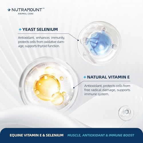 Horse Vitamin E & Selenium Supplement Powder – Natural Vitamin E 24% & Yeast Selenium – Daily Equine Antioxidant & Muscle Support – 100 Day Supply