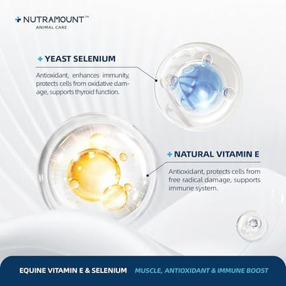 Horse Vitamin E & Selenium Supplement Powder – Natural Vitamin E 24% & Yeast Selenium – Daily Equine Antioxidant & Muscle Support – 100 Day Supply