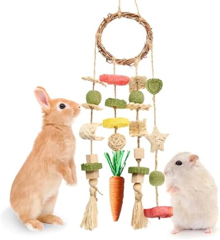 Jorewood Rabbit Chew Toys Bunny Cage Hanging Toy and Treats Rattan Ring with Snacks for Rodent Pets Teeth Healthy