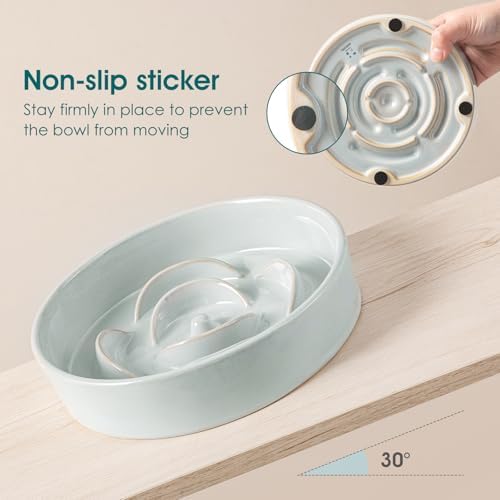 vancasso Slow Feeder Dog Bowls, 0.6 Cup Ceramic Puzzle Dish for Small Breed