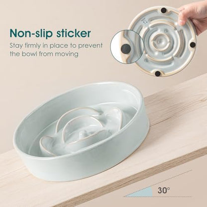 vancasso Slow Feeder Dog Bowls, 0.6 Cup Ceramic Puzzle Dish for Small Breed