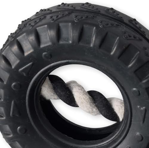 Pet Passion Natural Rubber Tire and Organic Cotton Rope Pull and Chew Dog Toy for All Pet Breeds, Black, Small