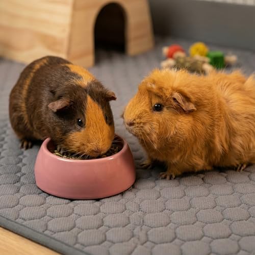 Guinea Pig Cage Liner, 59"x31" Bedding for C&C 2x4 Cage 2 Pack, Mushroom