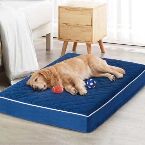 WNPETHOME Orthopedic XXL Dog Beds for Large Senior Dog Bed Comfy Sleeping