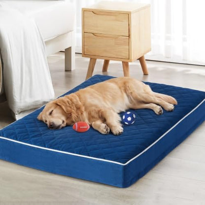 WNPETHOME Orthopedic Giant Human Dog Beds for Adult & Dog Cozy Sleep