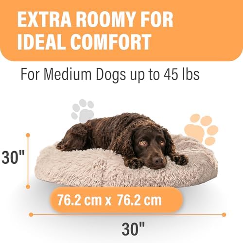 Active Pets Premium Medium Donut Dog Bed, Fits Up to 45 lbs, Machine Washable Cushion, Plush Long Pile Faux Fur Fabric, Portable Beige Pet Bed Furniture for Puppies Adult Canines & Cats