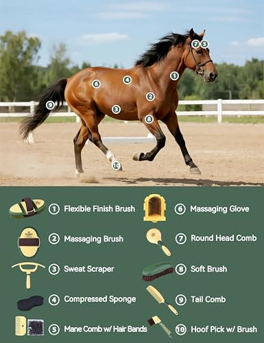 11-Piece Horse Grooming Kit with Waterproof Tote Pasture Glow