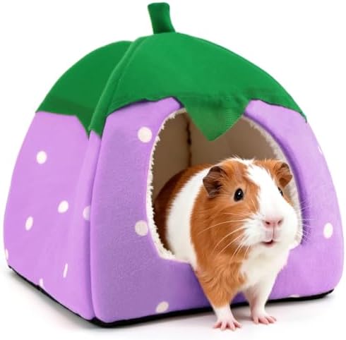 Guinea Pig Hideout Bed, Dwarf Rabbit House Cave