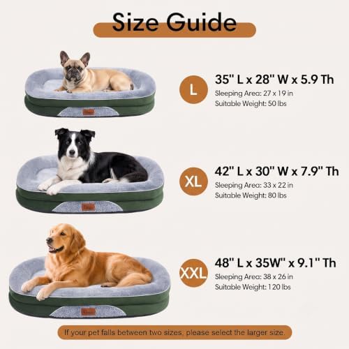 Orthopedic Dog Beds Large Sized Dog, Washable Dog Bed, 42" L, Green
