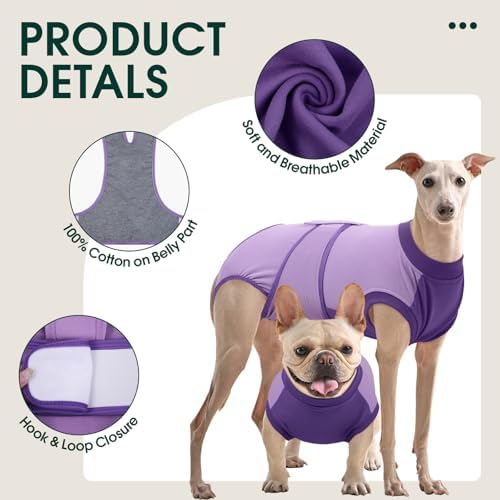 Kuoser Dog Recovery Suit, Female Male Spay Neuter Surgery Suit, Purple, L