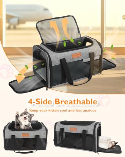 PETUX Airline Approved Pet Carrier for Small Cats up to 12 lb, Grey