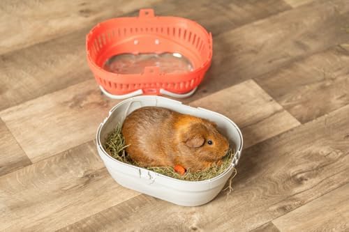 Trixie Pico Transport Crate, Small Pet Carrier, Portable Travel Carrier, for Small Pets, Hamsters, Guinea Pig, Lizards