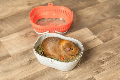 Trixie Pico Transport Crate, Small Pet Carrier, Portable Travel Carrier, for Small Pets, Hamsters, Guinea Pig, Lizards