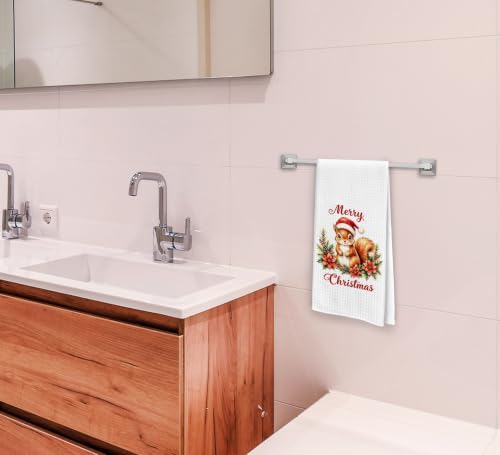Merry Christmas Squirrel Kitchen Dish Towels Dishcloth 16x24 Inches