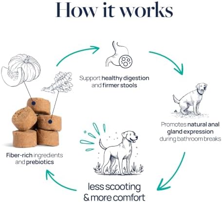 Veterinary Formula Smart Vitality Anal Gland Soft Chews for Dogs, 60 Count
