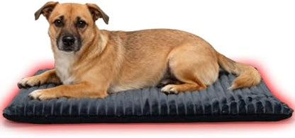 Self-Warming Cat Bed Pad 30x20 inches Self-Heating Cat Bed Mat Thermal Blanket for Indoor Cats & Dogs Stripes Gray