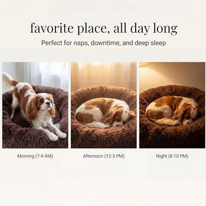 nononfish Comfortable Dog Bed for Small Dogs,Cozy Plush Pet Bed