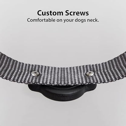 AirTag Dog Collar Holder - Compact - Elevation Lab (4 Pack)