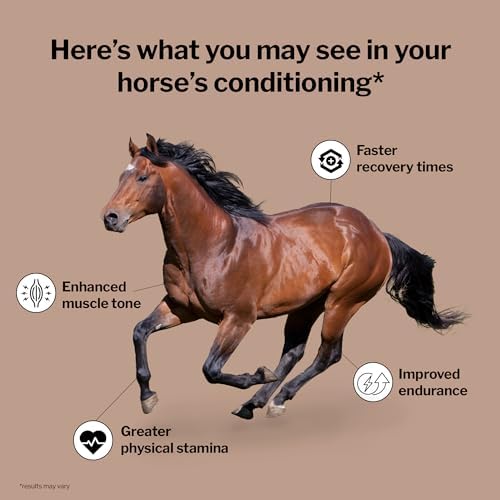 Formula 707 MuscleMx Muscle Supplement for Horses, 3 lb, 32 Servings