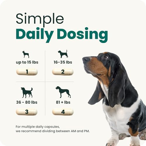 VetriScience Healthy Spine & Disc for Dogs, 180 Count