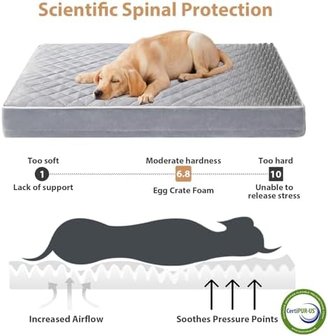 WNPETHOME Orthopedic Giant Human Dog Beds for Adult & Dog Cozy Sleep