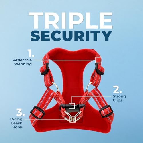 Best Pet Supplies Voyager Adjustable Step-in Flex Breathable Mesh Dog Harness for Small Medium Large Dogs Leash Set (Red), XL