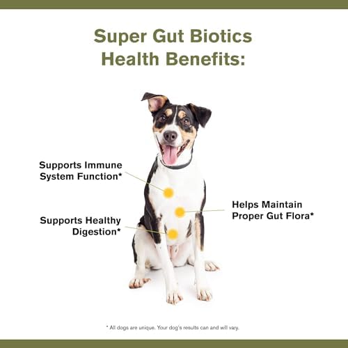 Badlands Ranch Super Gut Biotics Probiotic Supplement for Dogs, 30 Scoops