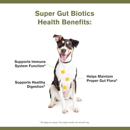 Badlands Ranch Super Gut Biotics Probiotic Supplement for Dogs, 30 Scoops