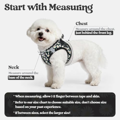 rabbitgoo Dog Harness Small Sized and Leash Set, Step-in Puppy Pet Vest