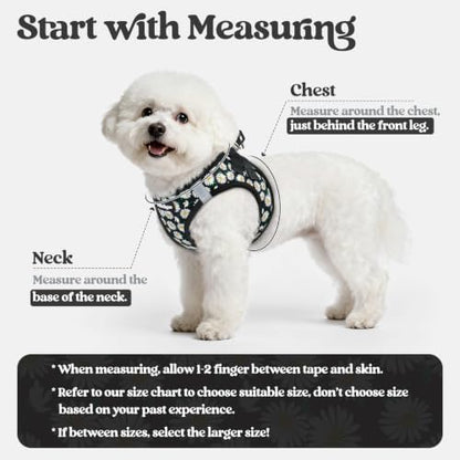 rabbitgoo Dog Harness Medium Sized and Leash Set, Step-in Puppy Pet Vest