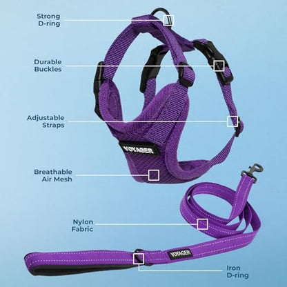 Best Pet Supplies Voyager Step-in Lock Pet Harness w Reflective Pet Leash Combo Set with Neoprene Handle 5ft - Supports Small, Medium and Large Breed Puppies/Cats - Purple Set, L