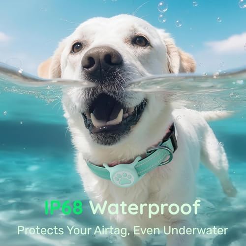 Premium Airtag Dog Collar，with IP68 Waterproof AirTag Holder,Green,XS