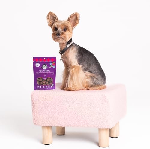 Lord Jameson Very Berry Soft & Chewy Certified Organic Dog Treats for Small Breeds - Antioxidant-Rich Blueberries & Strawberries - No-Bake Recipe, Gluten-Free, Preservative-Free - Made In USA - 3 oz